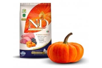Właściwości odżywcze dyni w karmie FARMINA N&D Pumpkin
